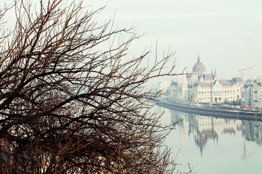budapest5