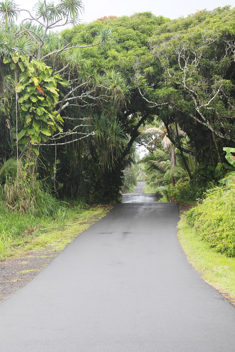 www.wildandfit.net-hawaii-big-island-27