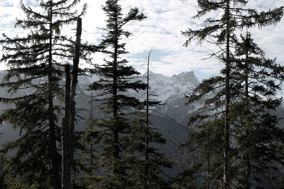 wildandfit-wandern-karwendel-fleischbank-risstal-7