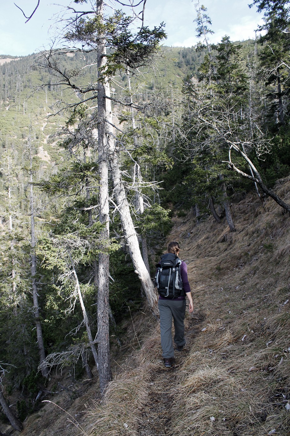 wildandfit-wandern-karwendel-fleischbank-risstal-8