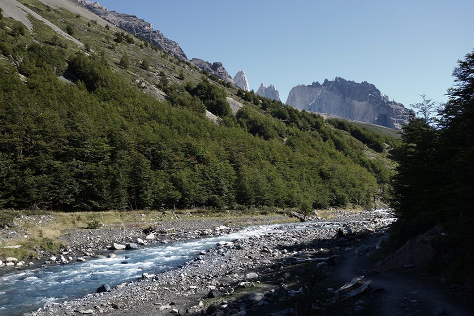 www.wildandfit.net_patagonien_torres_del_paine_chile_52