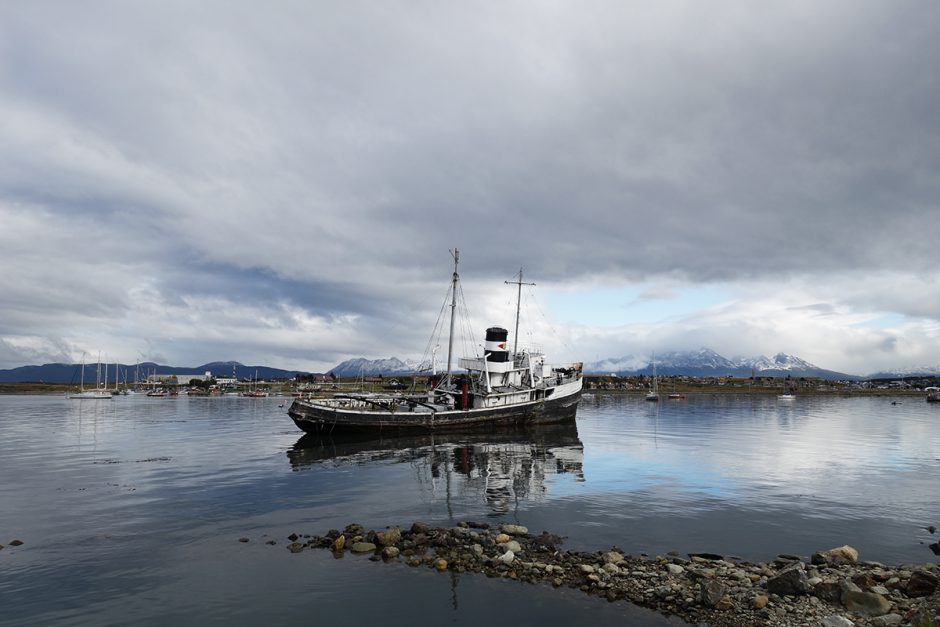 www.wildandfit.net-feuerland-patagonien-ushuaia-magellan-15