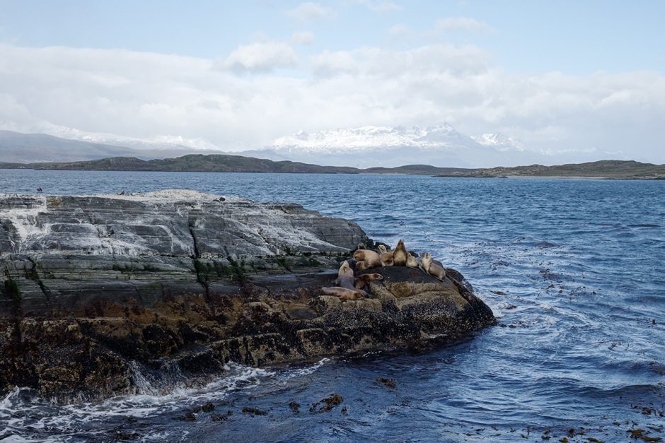www.wildandfit.net-feuerland-patagonien-ushuaia-magellan-38