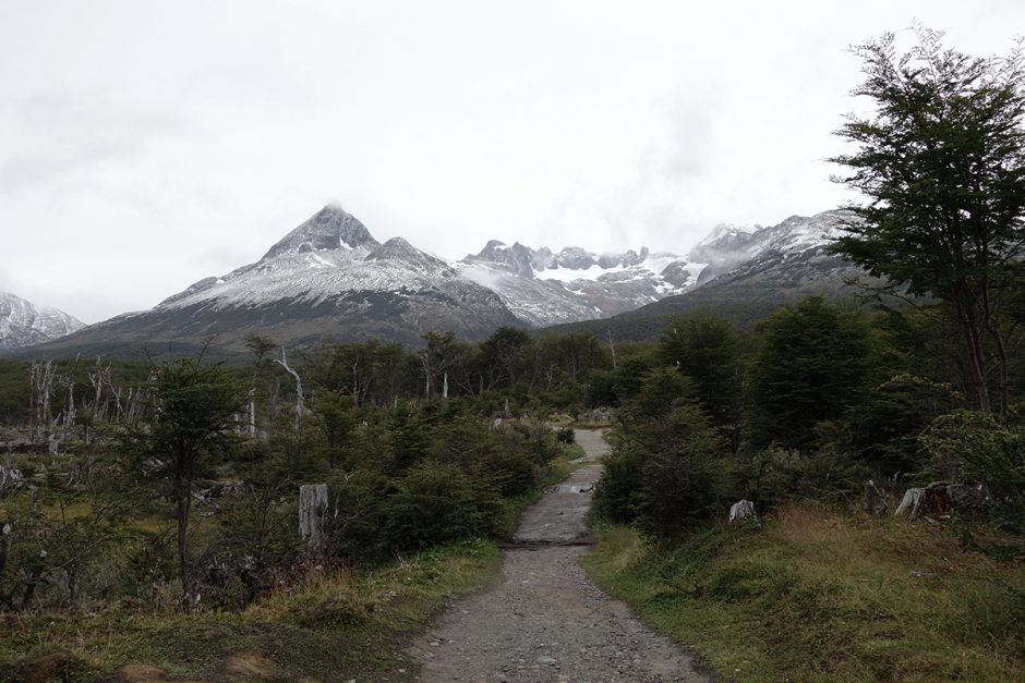www.wildandfit.net-feuerland-patagonien-ushuaia-magellan-7