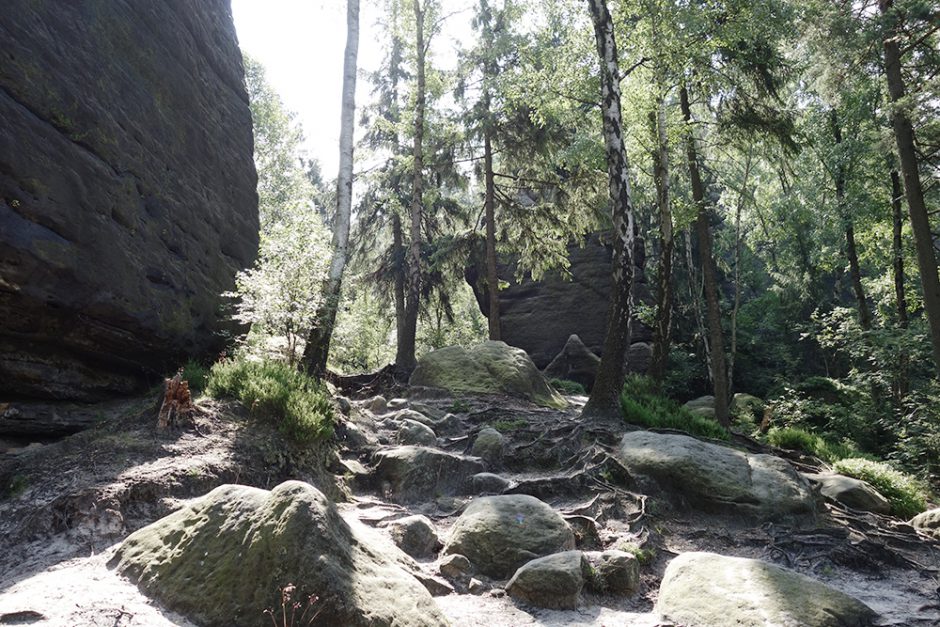 wildandfit-elbsandsteingebirge-saechsischeschweiz-schmilka-basteibrücke-10