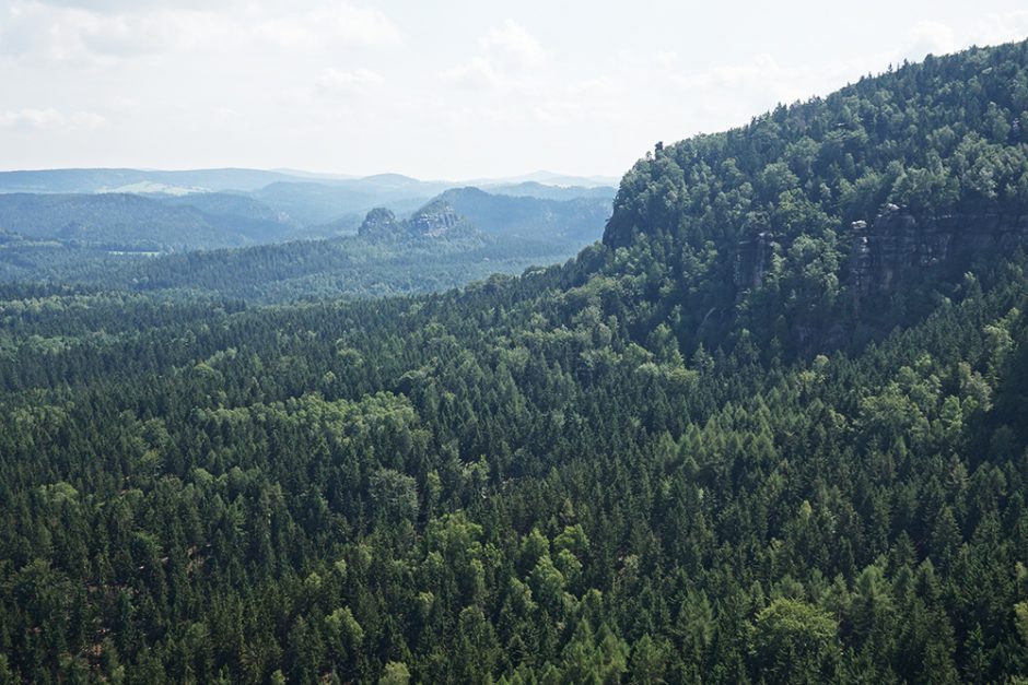 wildandfit-elbsandsteingebirge-saechsischeschweiz-schmilka-basteibrücke-13