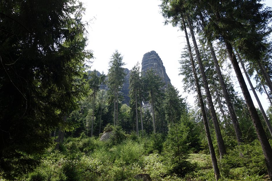 wildandfit-elbsandsteingebirge-saechsischeschweiz-schmilka-basteibrücke-24
