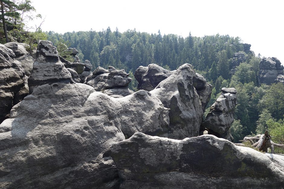 wildandfit-elbsandsteingebirge-saechsischeschweiz-schmilka-basteibrücke-31