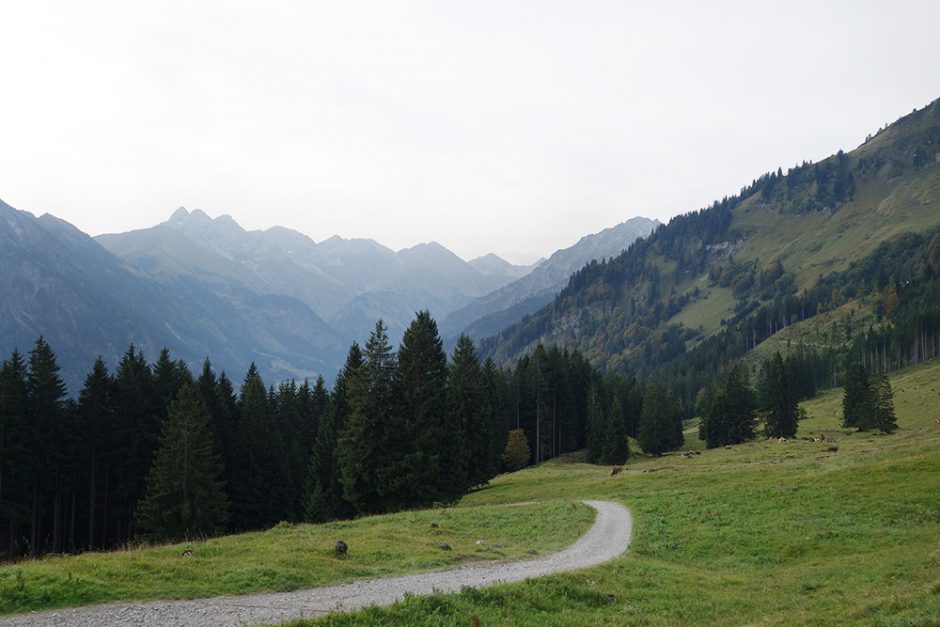 wildandfit-oberstdorf-wandern-sport-scheck-12h-kleinwalsertal-10