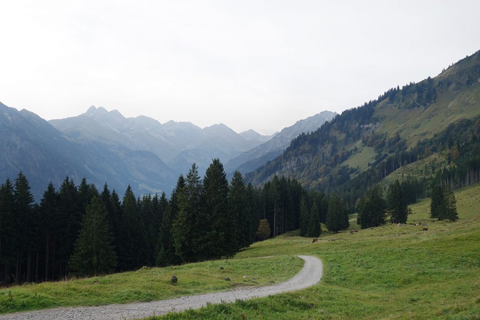 wildandfit-oberstdorf-wandern-sport-scheck-12h-kleinwalsertal-10