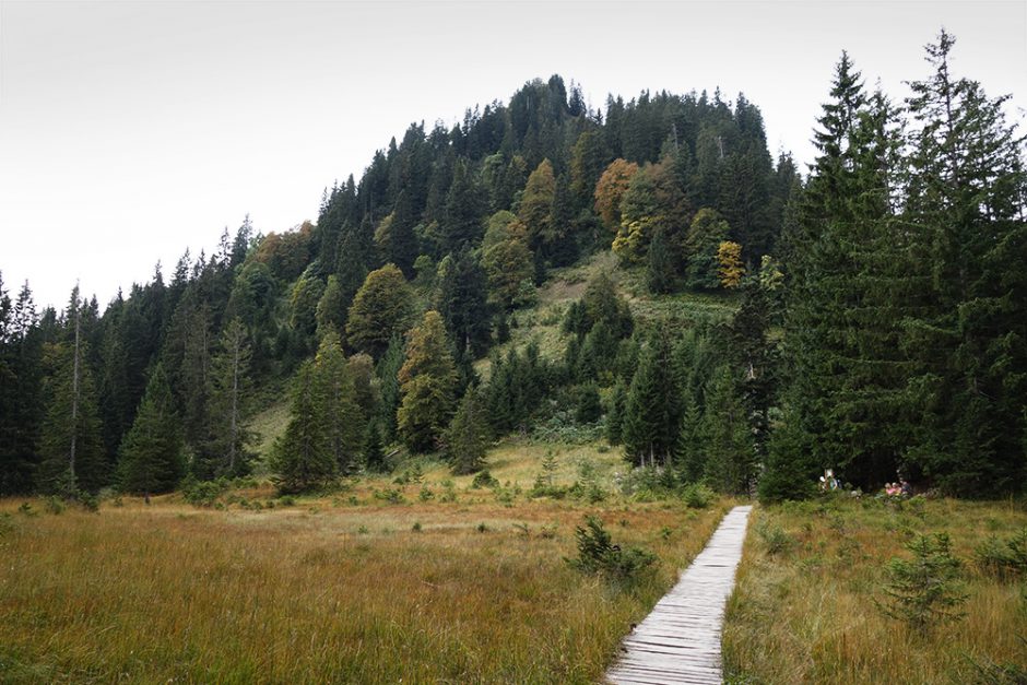 wildandfit-oberstdorf-wandern-sport-scheck-12h-kleinwalsertal-11