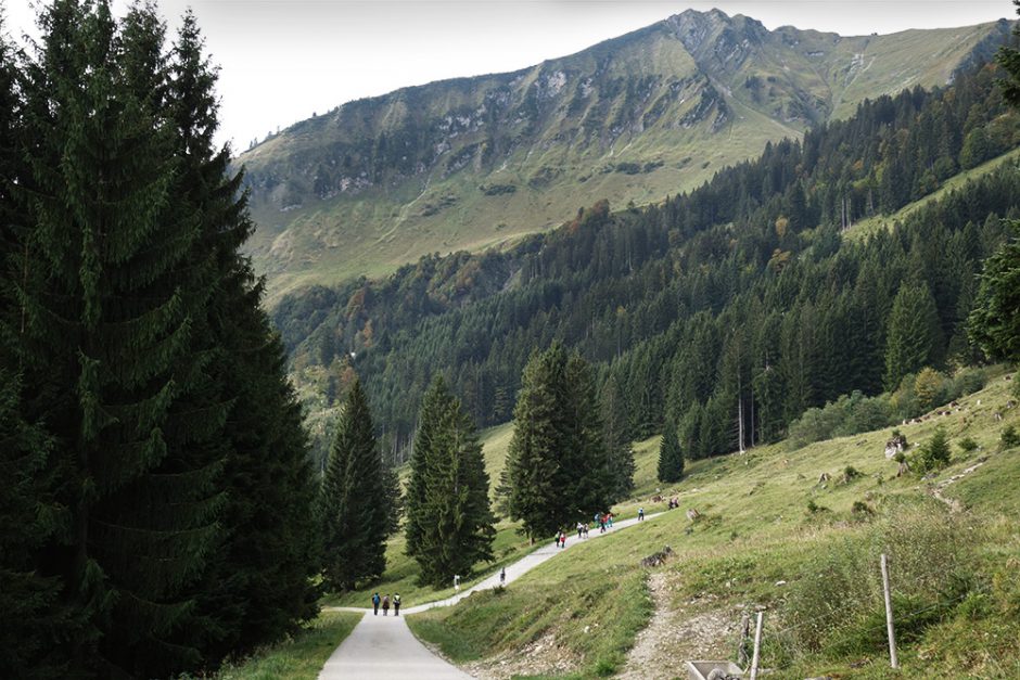 wildandfit-oberstdorf-wandern-sport-scheck-12h-kleinwalsertal-9